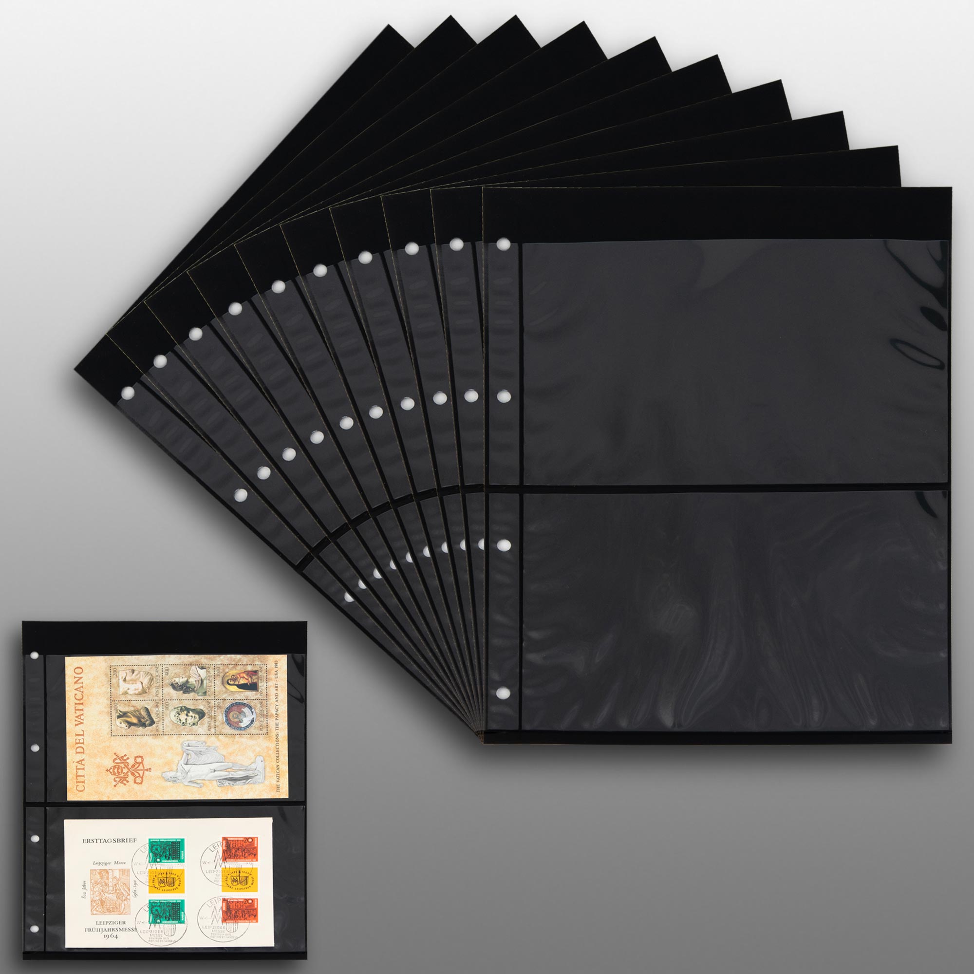 Prophila Collection 20 Einsteckseiten 2zeilig, auf 10 doppelseitigen, schwarzen Einsteckblttern