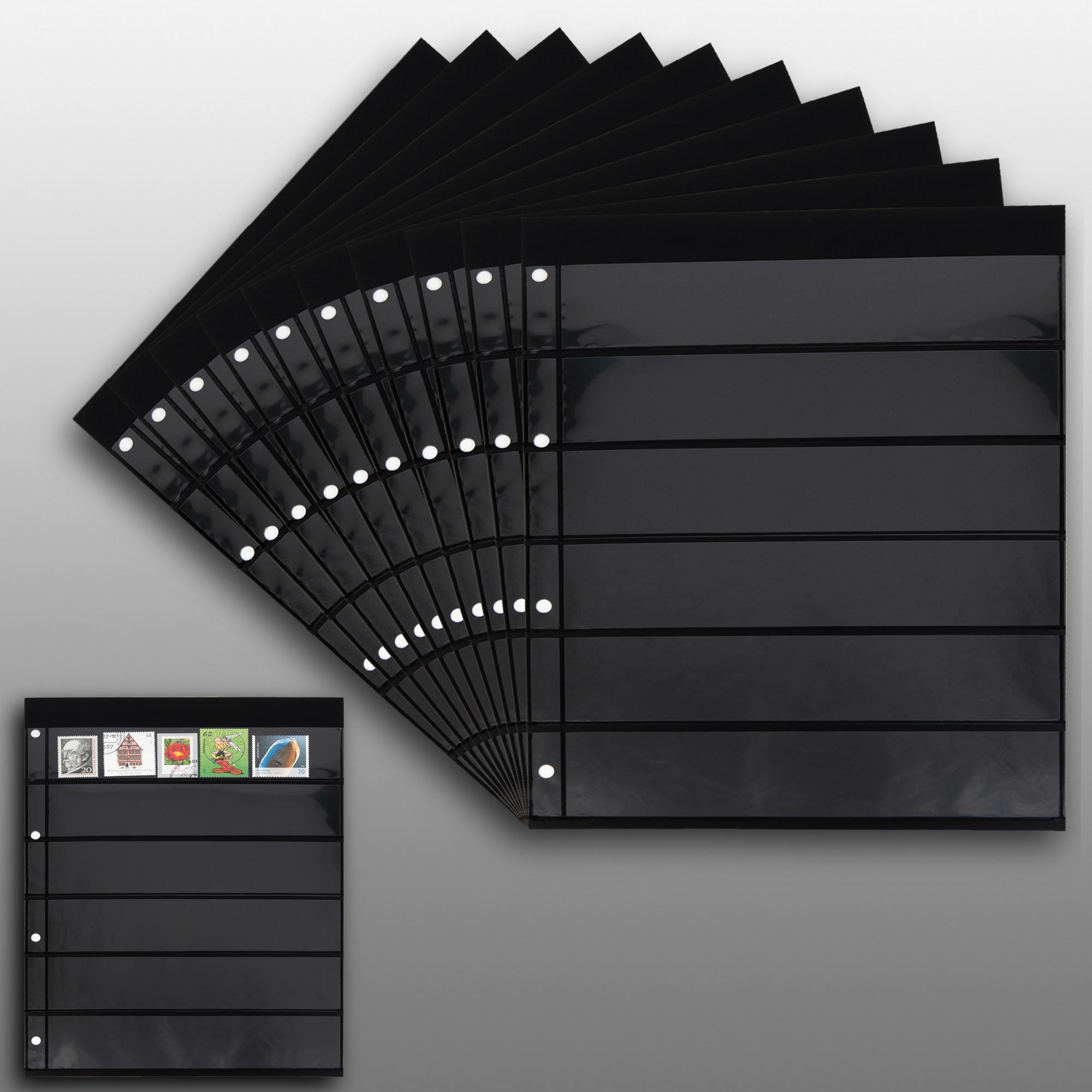 Prophila Collection 20 Einsteckseiten 6zeilig, auf 10 doppelseitigen, schwarzen Einsteckblttern